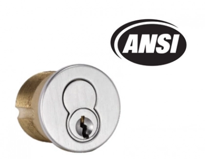 Interchangeable Core Cylinders