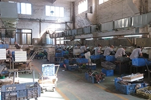 Polishing section - 2 Polishing section - 2